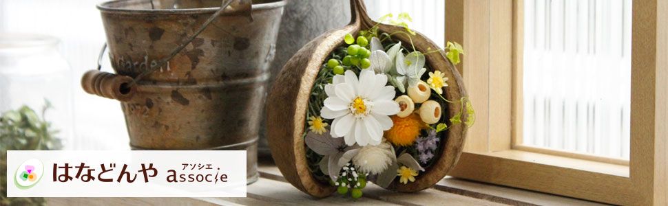 Buyee Online Proxy Shopping From Japanese Stores We Ll Deliver Your Hanadonya Assosie Products Worldwide Bot Online