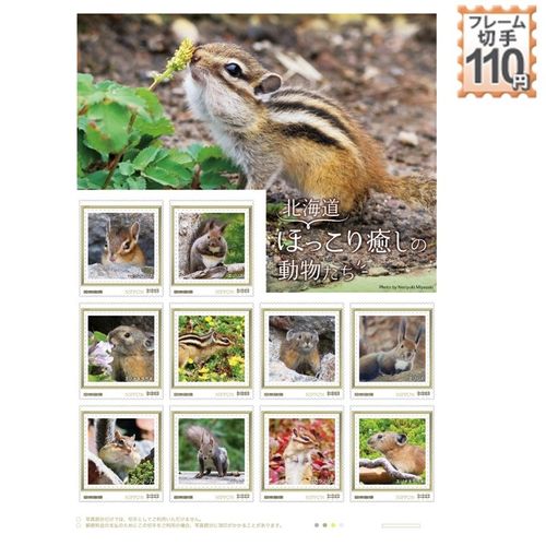 北海道ほっこり癒しの動物たち | JAPAN POST ONLINE SHOP