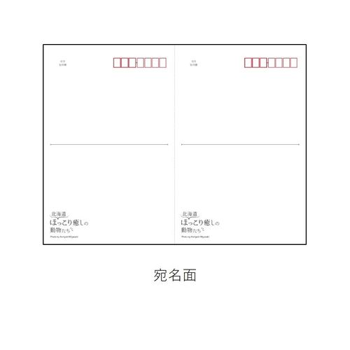北海道ほっこり癒しの動物たち | JAPAN POST ONLINE SHOP