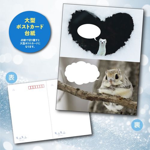 もふ　もふ もふもふ mofu-mofu | JAPAN POST ONLINE SHOP - Buyee, an Online