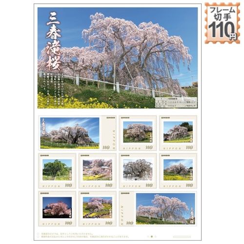 なんと‼️今だけ特別価格【期間限定商品　貴重品】日本三代桜 三春滝桜 福島県 三春滝桜 | - Buyee 통신 판매 대리 구매 서비스/에서 쇼핑