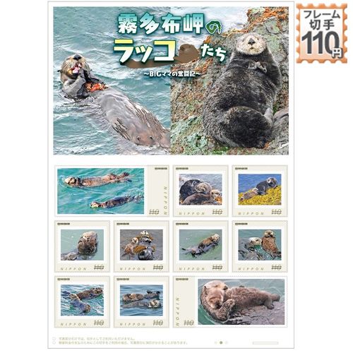 BUYEE公式アカウント19 BUYEE公式アカウント19 BUYEE公式アカウント19 メルカリの公式
