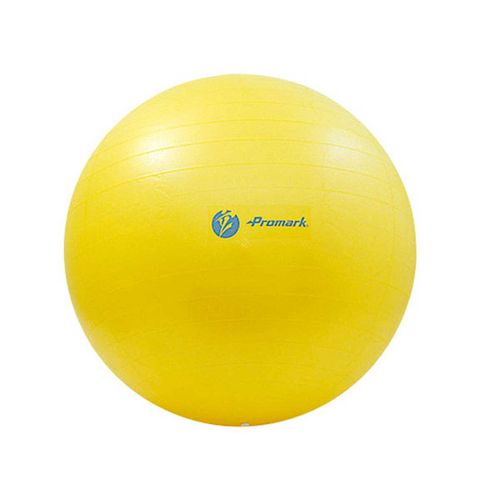 サクライ貿易 プロマーク バランスボール 65cm レベル2 TPT0268