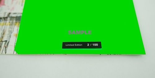 天野タケル【サイン入りNEON GREEN『Venus』オフセットプリント】