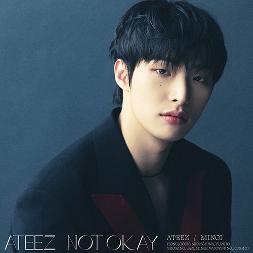 ATEEZ  ateez NOT OKAY  ソロジャケット盤8枚 ATEEZ JAPAN 3RD SINGLE「NOT OKAY」2024年2月28日（水