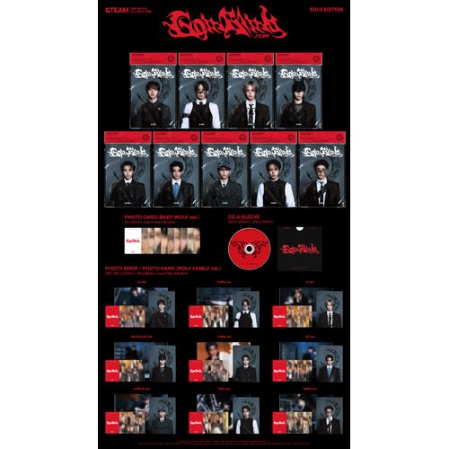 即日匿名配送 &TEAM HARUA 月狼 Go in Blind サノクトレカ 即日匿名配送 &TEAM HARUA 月狼 Go in Blind サノクトレカ
