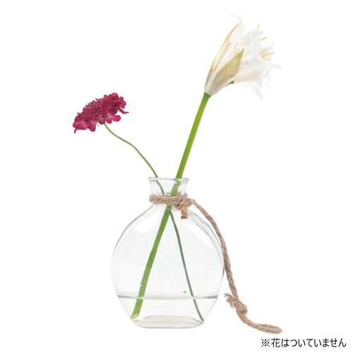 花ごころdo ｃｏｒｒｅｏボトル ラウンド 636 01 取寄 6個 はなどんやアソシエ Buyee 通販代理購入サービス はなどんやアソシエでお買い物
