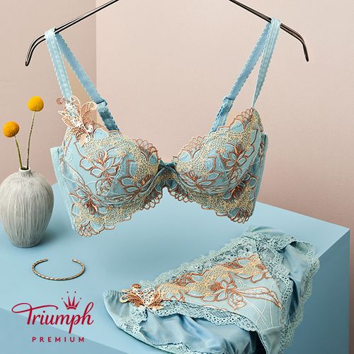 トリンプ トリンププレミアム レッドレーベル 0081 ブラジャー