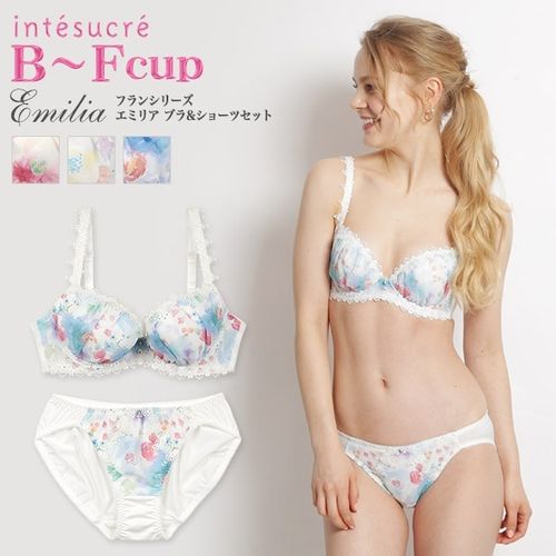 アンテシュクレ IBT273｜フラン エミリア ブラセット 全4色 B-F/65-75