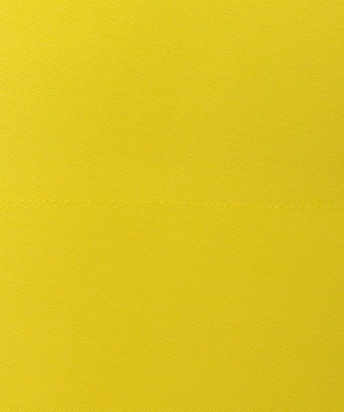 SPRING ミカド ダブルストラップキャミソール SPRING ミカド ダブルストラップキャミソール | UNITED ARROWS