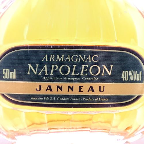 未開栓　NAPOLEON　ARMAGNAC JANNEAU　コニャック 未開栓 NAPOLEON ARMAGNAC JANNEAU コニャック