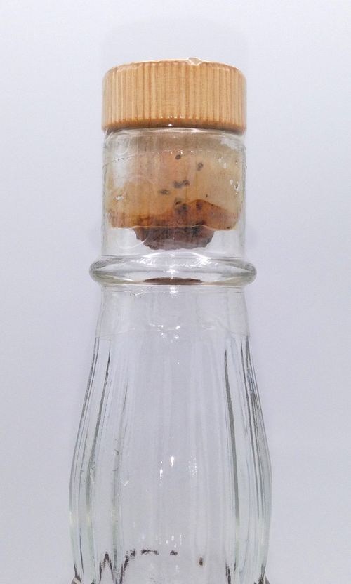 ジャックダニエル 1895 レプリカボトル JACK DANIEL'S OLD No.7