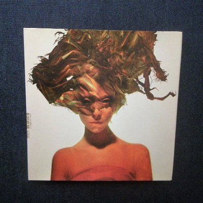麻生久美子・つぐみ 写真集「贅沢な骨」永瀬正敏 | PISTOLBOOKS