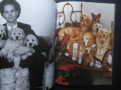 ブルースウェバー　A Letter to True ポスター A LETTER TO TRUE - The Beach Gallery