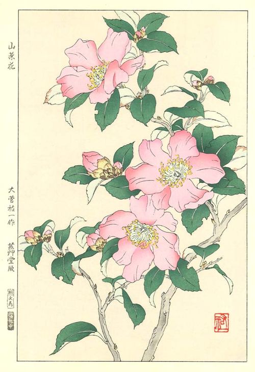 山茶花 花版画 Flower Woodcut -Camellia- | 芸艸堂 - Buyee 通販購入