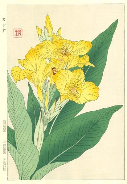F136 カンナ 花版画 Flower Woodcut-Canna- | 芸艸堂 - Buyee 通販購入