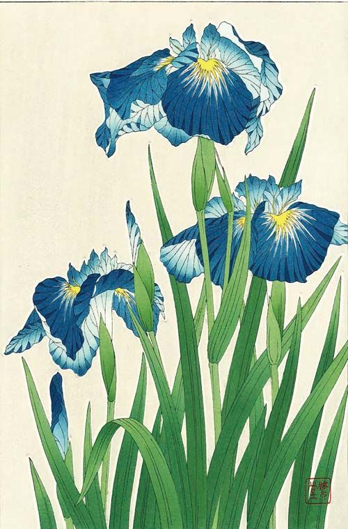 絵画 花の絵 アイリス ボタニカルアート 工芸品 植物画 置物 花 美術品 菖蒲 絵画 花の絵 アイリス ボタニカルアート 工芸品 彫刻 置物 花 美術品