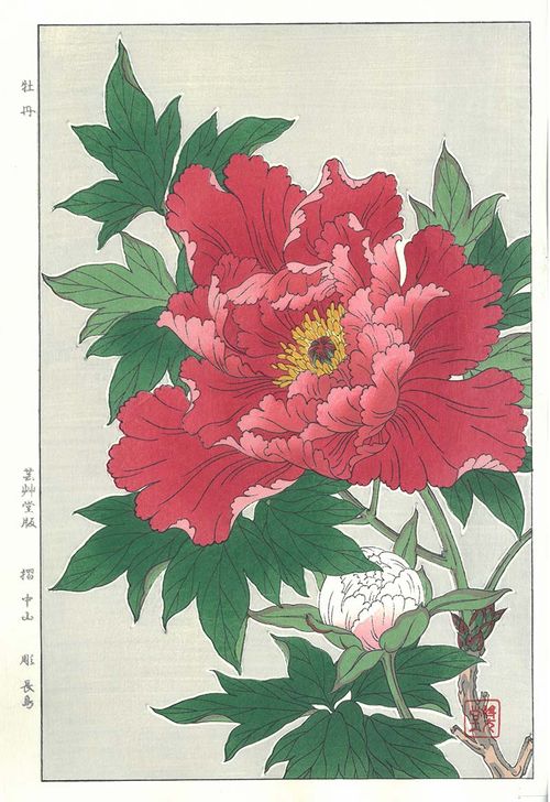 F009 牡丹花版画Flower Woodcut ‐Peony ‐ | - Buyee日本代购服务 F009 牡丹花版画Flower Woodcut ‐Peony ‐ | - Buyee日本代购服务
