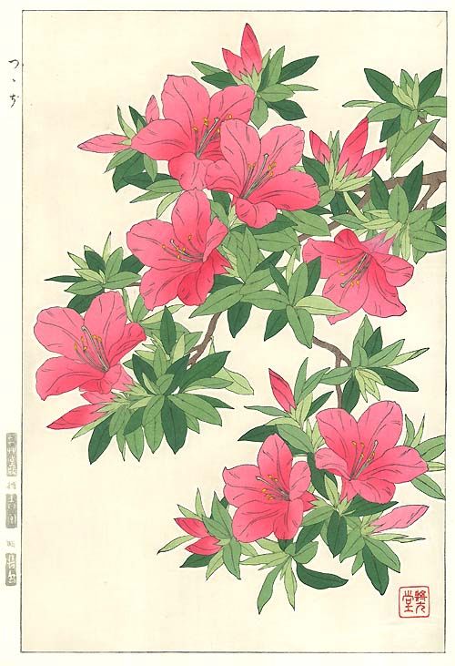 木花 桜花』一一型 MXY7 大分県宇佐市閣にある「宇佐市平和資料館」に
