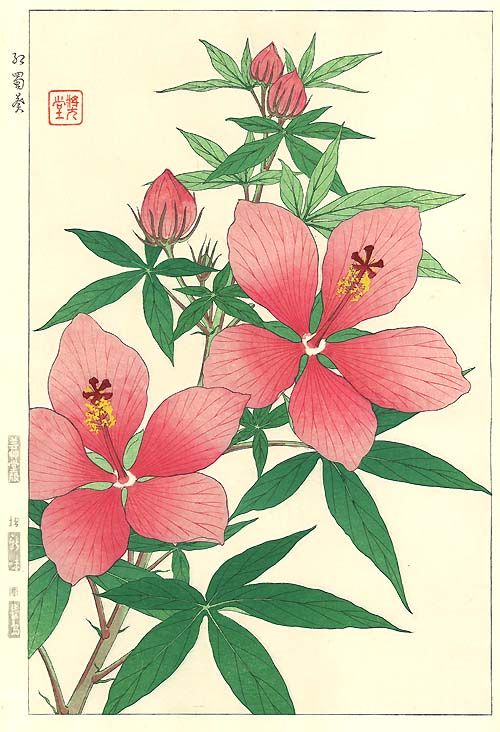 花の絵 Amazon.co.jp: 花の絵 風景画 アクリル画 原画 ゼラニウムと
