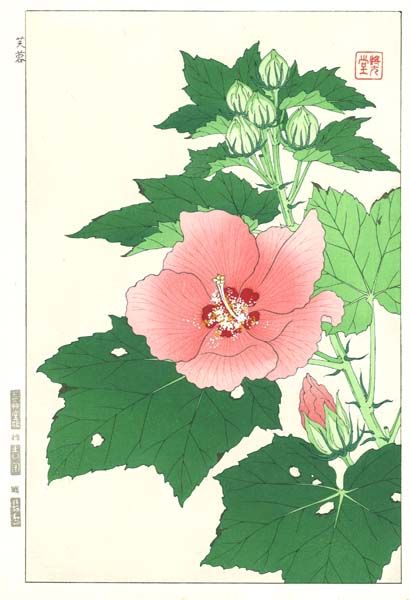 F083 芙蓉花版画Flower Woodcut-Hibiscus mutabilis | - Buyee日本代购