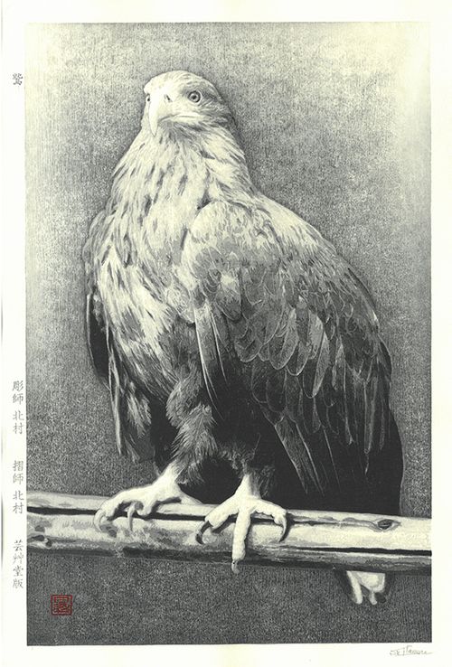 原画 鷲 1点物 #38 鷲の鉛筆画 A3 モノクロ （現代水墨画家☆絵師白道 「デビル