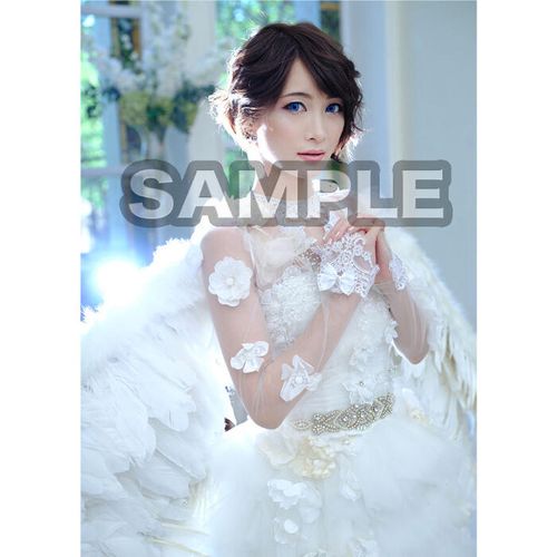 Amazon.co.jp: Ayasa 「CHRONICLE」【アートブック/ART BOOK