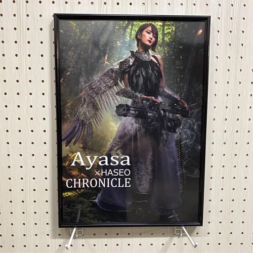 その他】Ayasa×HASEO 「CHRONICLE」【アートブック/ART BOOK】 |