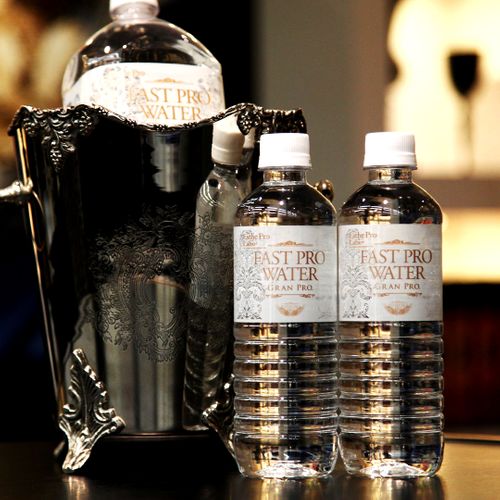 ファストプロウォーター(500mL×48本) | Esthe Pro Labo ファストプロウォーター(500mL×48本) | Esthe Pro Labo