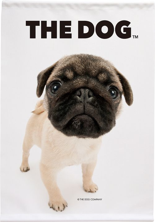 Pug online hot sale shopping