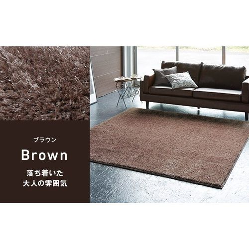 ラグ 洗える ラメ入り ターキッシュ シャギー 200cm×200cm 日本製