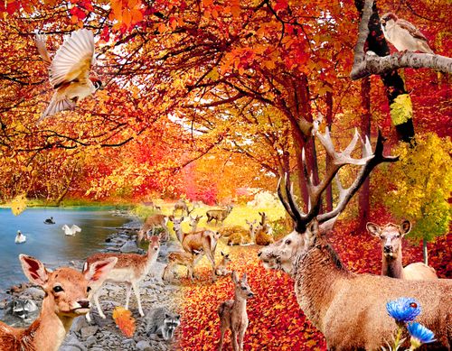 大豊穣恵みの秋」F6号アートキャンバス | Photo Bash Art 100