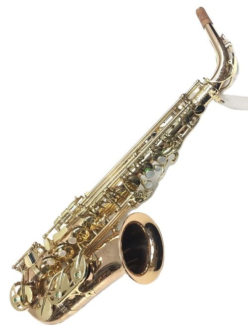 YANAGISAWA / A-500 【動作確認済】A-500/YANAGISAWA/アルトサックス/ラッカー/管楽器/吹奏楽 柳澤管楽器 サックス A-500 【動作確認済】A-500 YANAGISAWA アルト