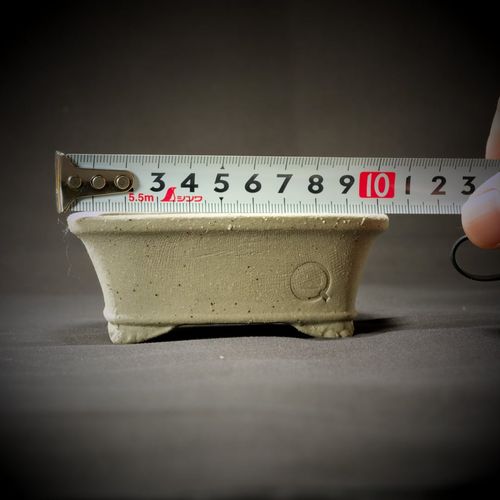 盆栽Qオリジナル 縁付雲泥足撫角【ゆうき祥石】 | 47storey - Buyee