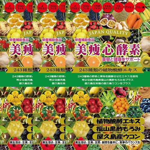 美痩心酵素（びそうしん酵素）×3個 | 47storey - Buyee, an Online