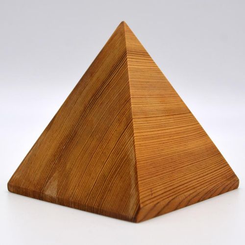 屋久杉 100年のピラミッド | 47storey - Buyee 通販購入サポート