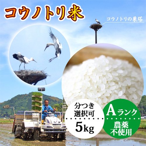 無洗米10kg 農薬不使用コシヒカリ白米玄米| - Buyee日本代购服务| 在购物。