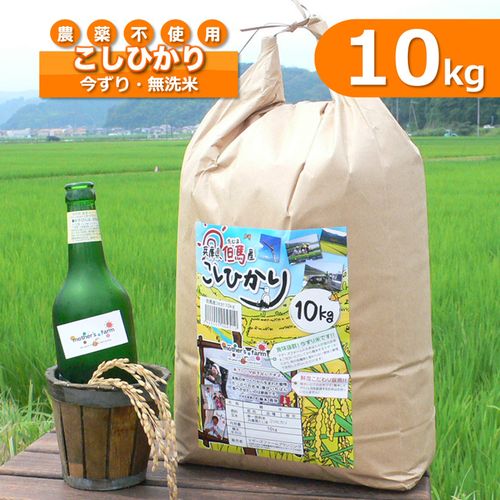 無洗米10kg 農薬不使用コシヒカリ白米玄米| - Buyee日本代購服務| 在購物。