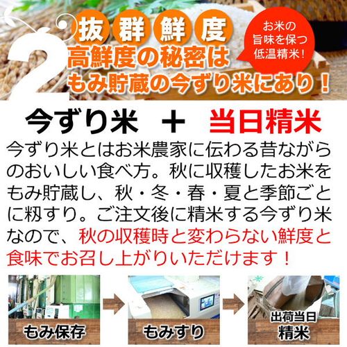 無洗米10kg 農薬不使用コシヒカリ白米玄米| - Buyee日本代购服务| 在购物。