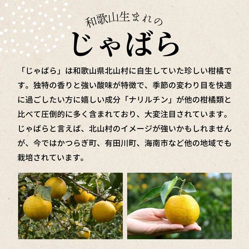 柑橘贾巴拉糖EX | - Buyee日本代購服務| 在購物。