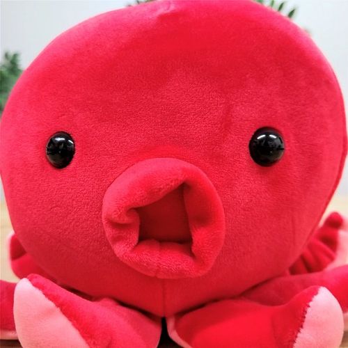 ぷてぃまりんぬいぐるみ（たこ） | - Buyee, Dịch vụ Mua hộ Trực