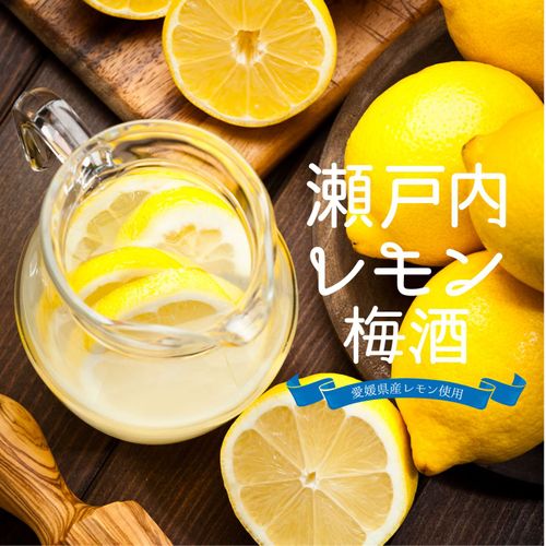 瀬戸内レモン　Ｂ Amazon | 瀬戸内産レモン使用 瀬戸内産レモンの炭酸水 500ml×24