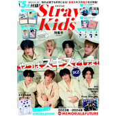 Stray Kids スキズ まとめ売り 【バイイー専用】 Search Results for 