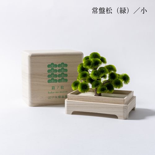 江戸木目込人形 箱ノ松（小） / Edo Kimekomi Ningyo Hako no Matsu