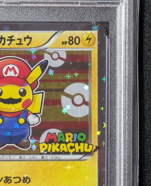 マリオピカチュウ プロモ 293/XY-P 293/XY-P マリオピカチュウ： マリオピカチュウスペシャルBOX