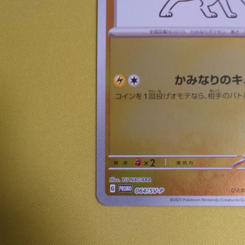 yu nagaba × ポケモンカードゲーム サンダース 064/SV-P ポケモンカードゲーム(ポケカ) サンダース: プロモ [SV-P 064