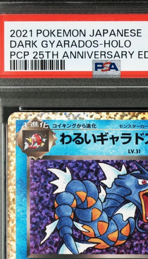 ポケモンカードゲーム(ポケカ) わるいギャラドス: プロモ[S8a-P