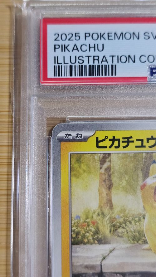 ｛美品｝ピカチュウイラストレーションコンテスト PROMO SV-Pプロモ4枚 ポケモンカードゲーム 242/SV-P ピカチュウ 雷 (PROMO プロモ