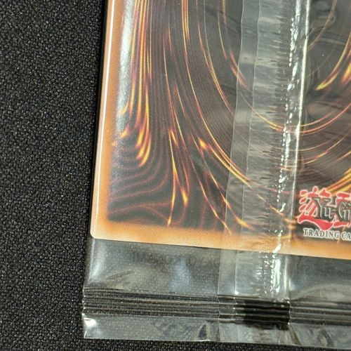 遊戯王OCG デュエルモンスターズ 真紅眼の黒竜 SE [NKC1-EN002