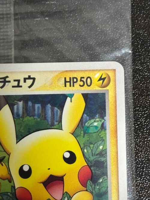 【限定　ポケパーク】ポケモンカード19枚セット 限定 ポケパーク】ポケモンカード19枚セット